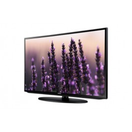TV 40