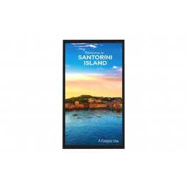 MONITOR / DISPLAY DA ESTERNO LG 49