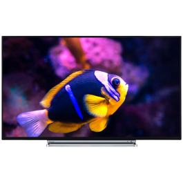 TV 65