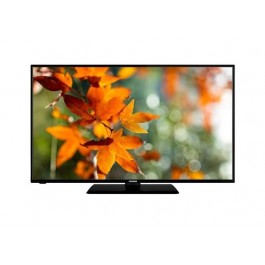 TV 50