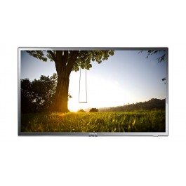 TV 40