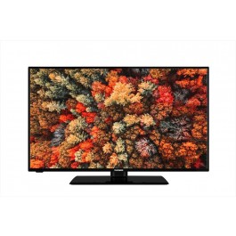 TV 40