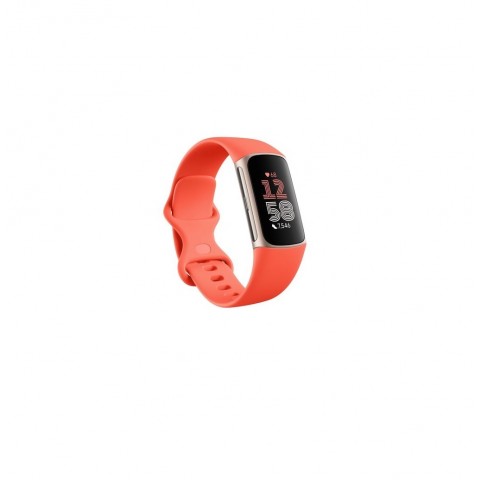 SMARTWATCH FITNESS FITBIT CHARGE 6 GA05184-EU 1.04" AMOLED NFC GPS BLUETOOTH CORALLO / ALLUMINIO ORO CHAMPAGNE